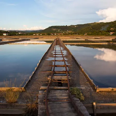 Dino Apartma In Soba - Dino And