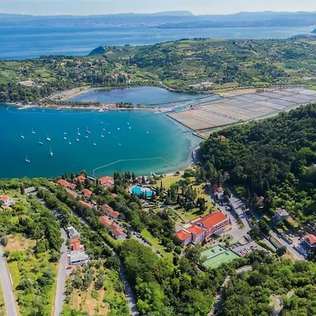 Dino And Apartma Portoroz