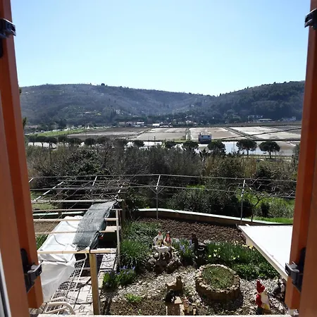Apartma Dino And