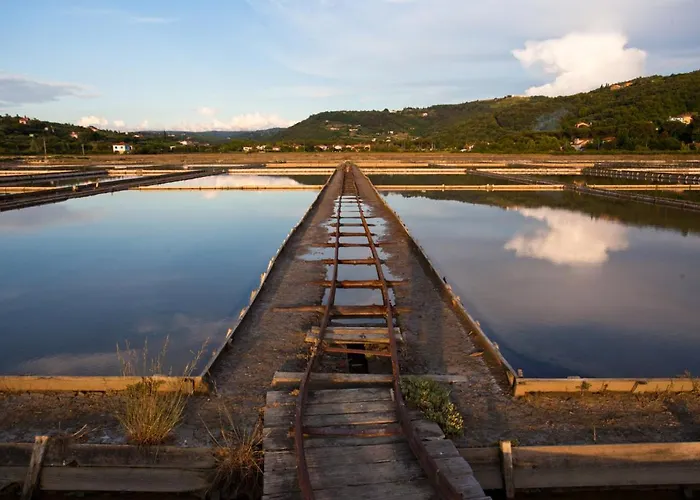 Dino Apartma In Soba - Dino And